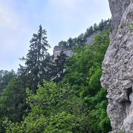 Pensionat Oriana Bled