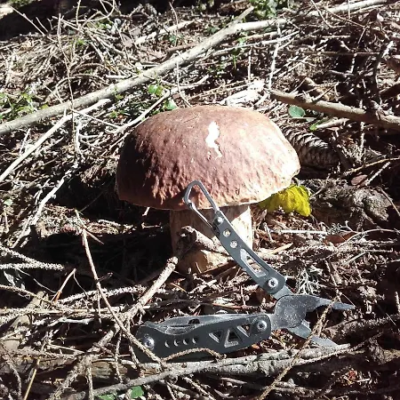 Oriana Guest house Bled