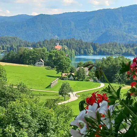 Oriana Guest house 3*