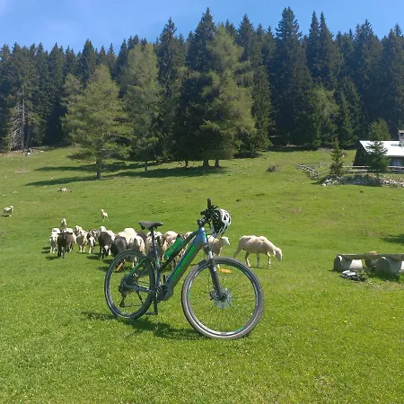 Oriana Guest house 3*