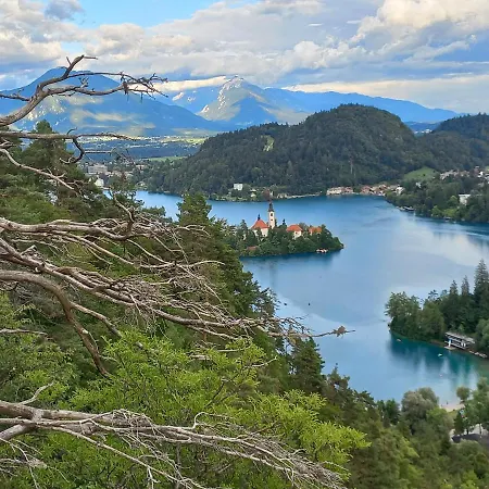 Oriana Guest house 3*