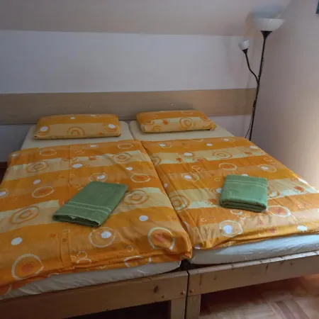 Guest house Oriana 3*