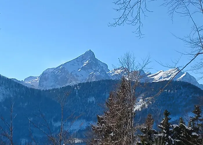 Hiša za goste Oriana Bled