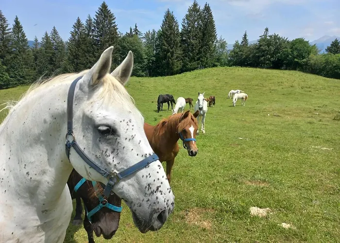 Hiša za goste Oriana Bled
