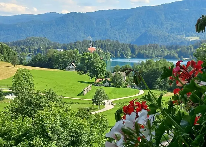 Oriana Hiša za goste 3*