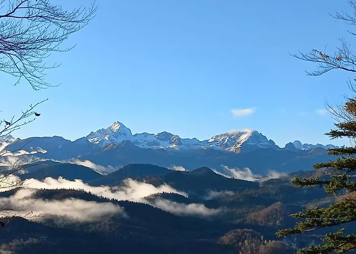 Casa de hóspedes Oriana