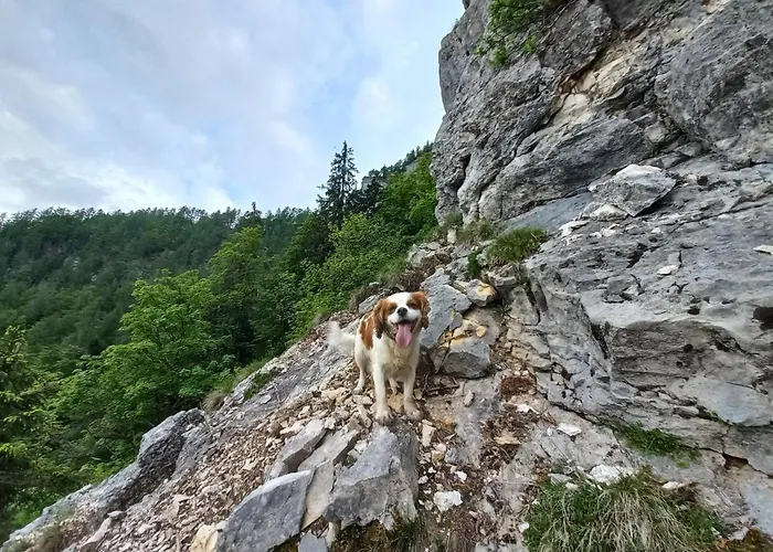 Oriana Hiša za goste