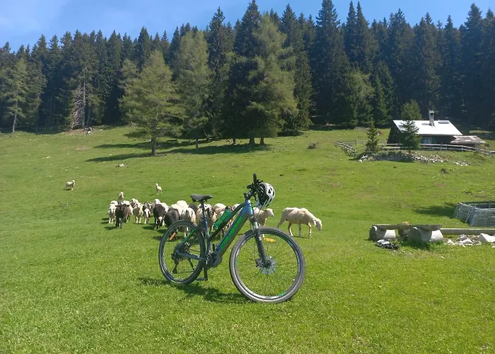 Oriana Casa de hóspedes 3*