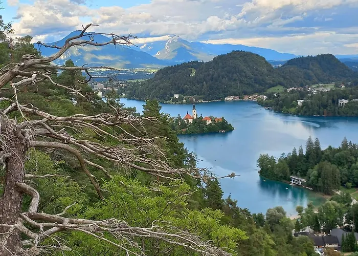 Oriana Hiša za goste 3*