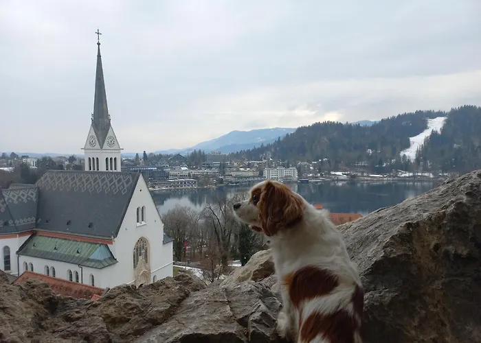 Oriana Hiša za goste