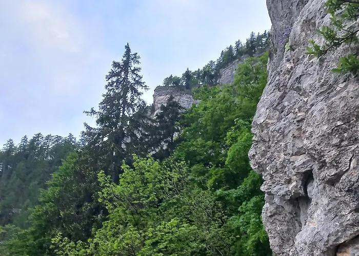 Hiša za goste Oriana Bled